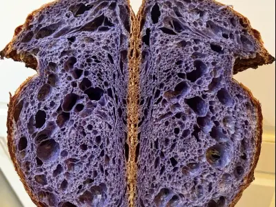 6100 Bread, Google photo 3