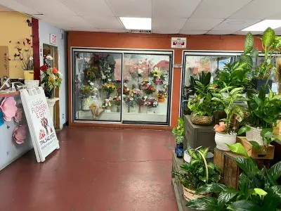 Aladdin Flowers, Google photo 2