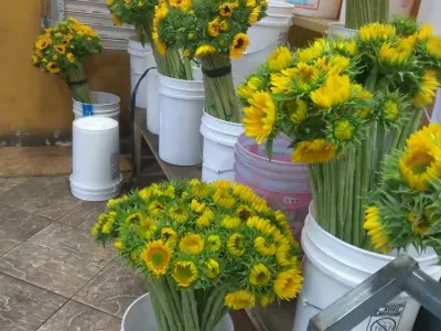Angel's Flowers, Google photo 4