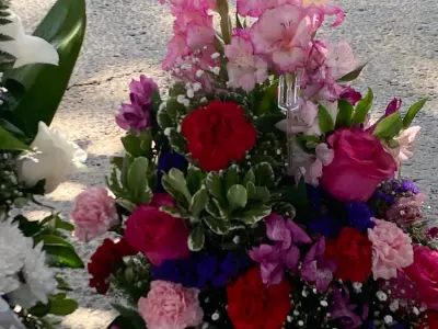 Aroos Flowers, Google photo 3