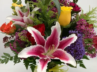 Everyday Flowers, Google photo 4