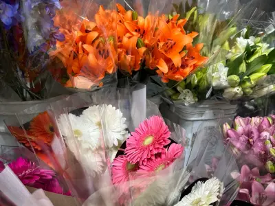 My Flower Market, Google photo 4