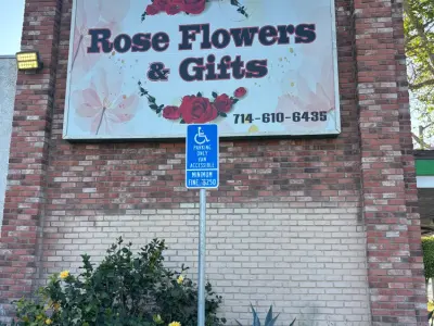 Rose Flowers, Google photo 1